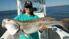 bull_redfish_fishing12.jpeg