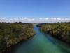 central_florida_airboat_tours_st_johns_river__3_.JPG