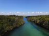 central_florida_airboat_tours_st_johns_river__3_.JPG