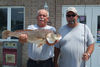 champion-giant-croaker.jpg