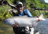 coastal-chinook-july-20_2012-large.JPG