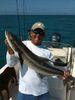 cobia11.jpg