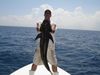 cobia2.JPG