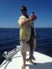 cobia_off_anna_maria_island.JPG