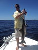 cobia_off_anna_maria_island1.jpg