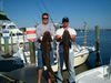 cobia_pics.jpg