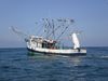 costa49.JPG