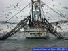 crop_shrimp_boat_-2JPG.jpg