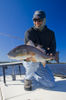 dec-redfish.jpg