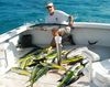 december_dolphin_wahoo_fishing_florida_keys.JPG