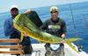 easy_2_dolphin_mahi_fishing_islamorada_florida_keys.JPG