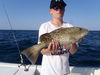 fish_0051.jpg