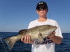 fish_0061.jpg