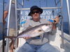 fish_012.jpg