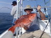 fish_018.jpg