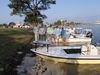fish_0251.jpg