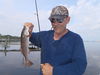 fish_0312.jpg