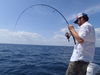 fish_042.jpg