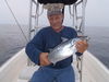 fish_043.jpg