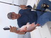 fish_049.jpg