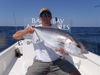 fish_063.jpg