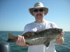 fish_sprinkler_pict_049.JPG