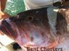 fishing_028_wm.jpg