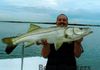 fishing_066_wm.jpg