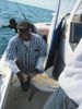 fishing_122910_shark2.JPG