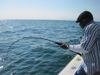 fishing_122910_shark_on2.JPG