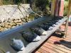 fishing_charters_gulf_of_mexico.jpg