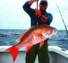 fishing_islamorada_mutton_snapper.jpg