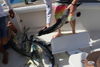 fishing_wicked_tyler_puntacana45.JPG