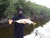 flips_snook.JPG