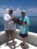 florida_keys_black_grouper.JPG