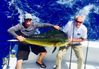 florida_keys_mahi_mahi_2016.jpg