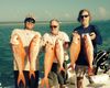 florida_keys_queen_snapper_fishing.JPG