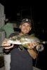 fly-fishing-for-snook-_09.jpg