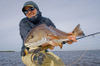 fly-fishing-redfish2.jpg