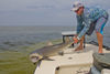 flyfishing-tampa-shark.jpg