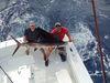 frenchy_sailfish10-7-11_008.JPG