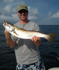 gator_trout.jpg