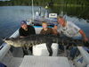 gators_2012_007.JPG