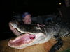gators_2012_013.JPG