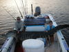 gators_2012_024.JPG
