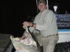 gators_2012_041.JPG