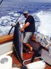 hawaii_yellowfin.jpg