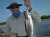hibtrout1.JPG