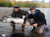 how-to-catch-coho-nov-13_2011.JPG