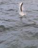 image00624.jpg